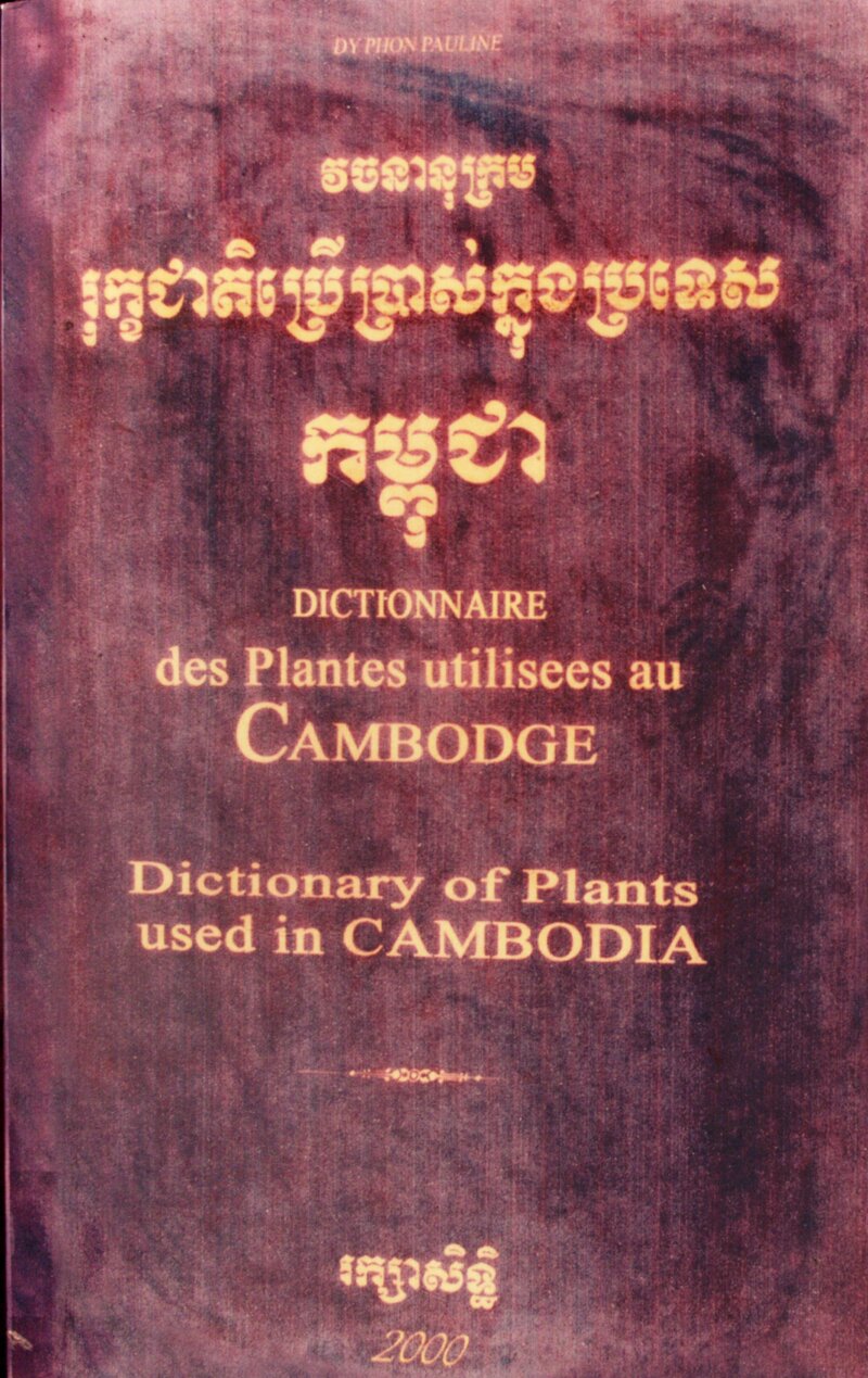 Dyphon Cover