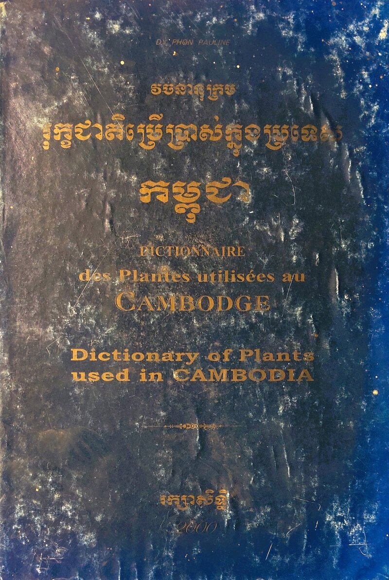 Dy phon dictionary original cover