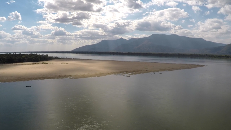 Mekong&#x20;Morel&#x20;1