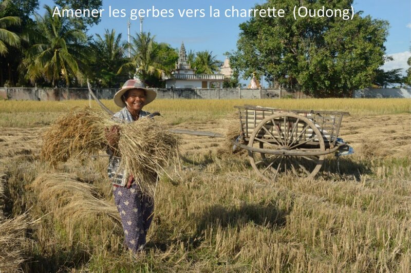 Diaporama&#x20;30&#x20;Cambodge&#x20;cartes&#x20;postales&#x20;agricoles&#x20;2013&#x20;2014&#x20;en&#x20;pps&#x20;6&#x20;scaled