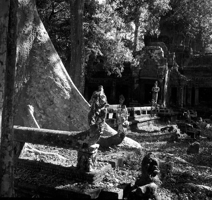 A&#x20;21&#x20;Temples&#x20;Angkor&#x20;Ta&#x20;Prohm