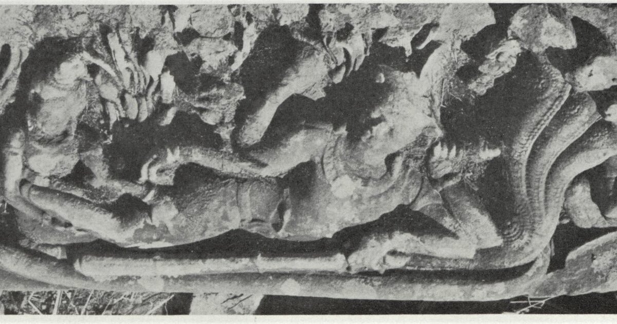 Reclining Vishnu In Khmer Art/ Représentations Khmeres Du Visnu Couché ...