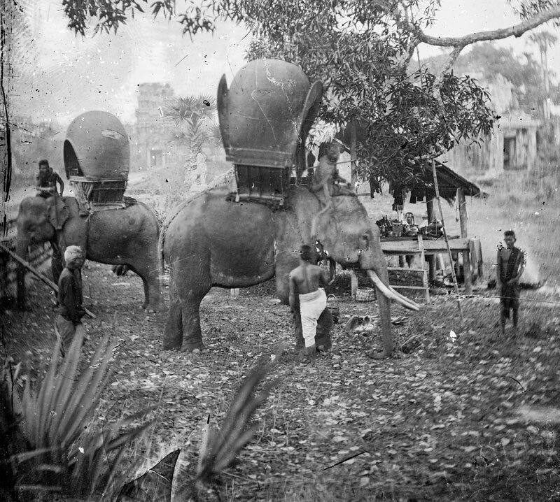Thomson&#x20;Elephants&#x20;1866&#x20;Angkor