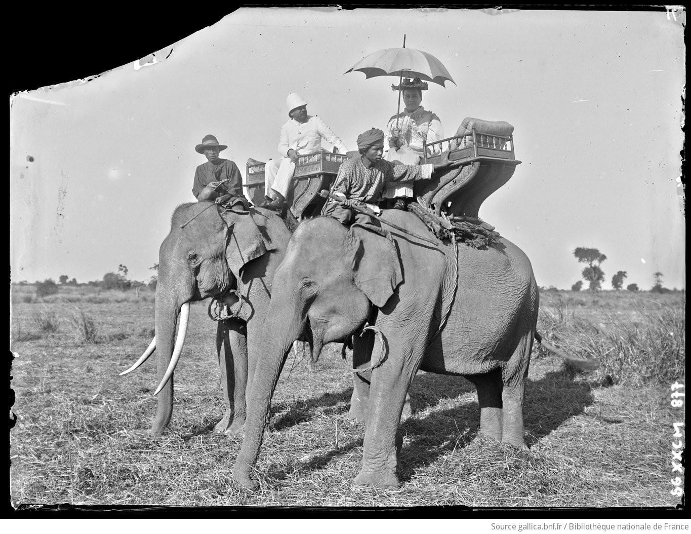 Cambodge Phnom Penh promenade a elephant