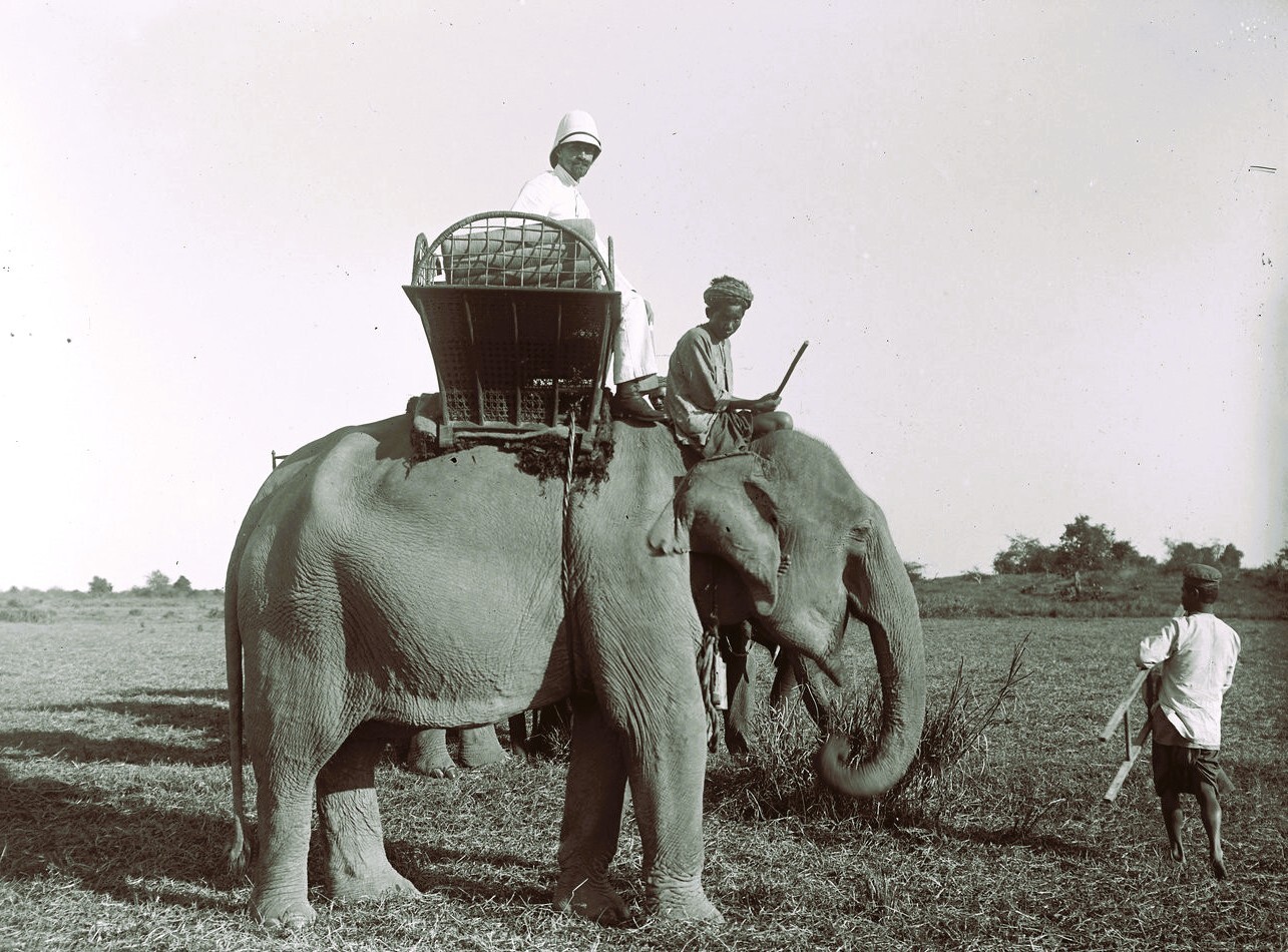 Cambodge Phnom Penh promenade a elephant salles Andre 2jan1896